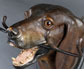 Patère tête de chien